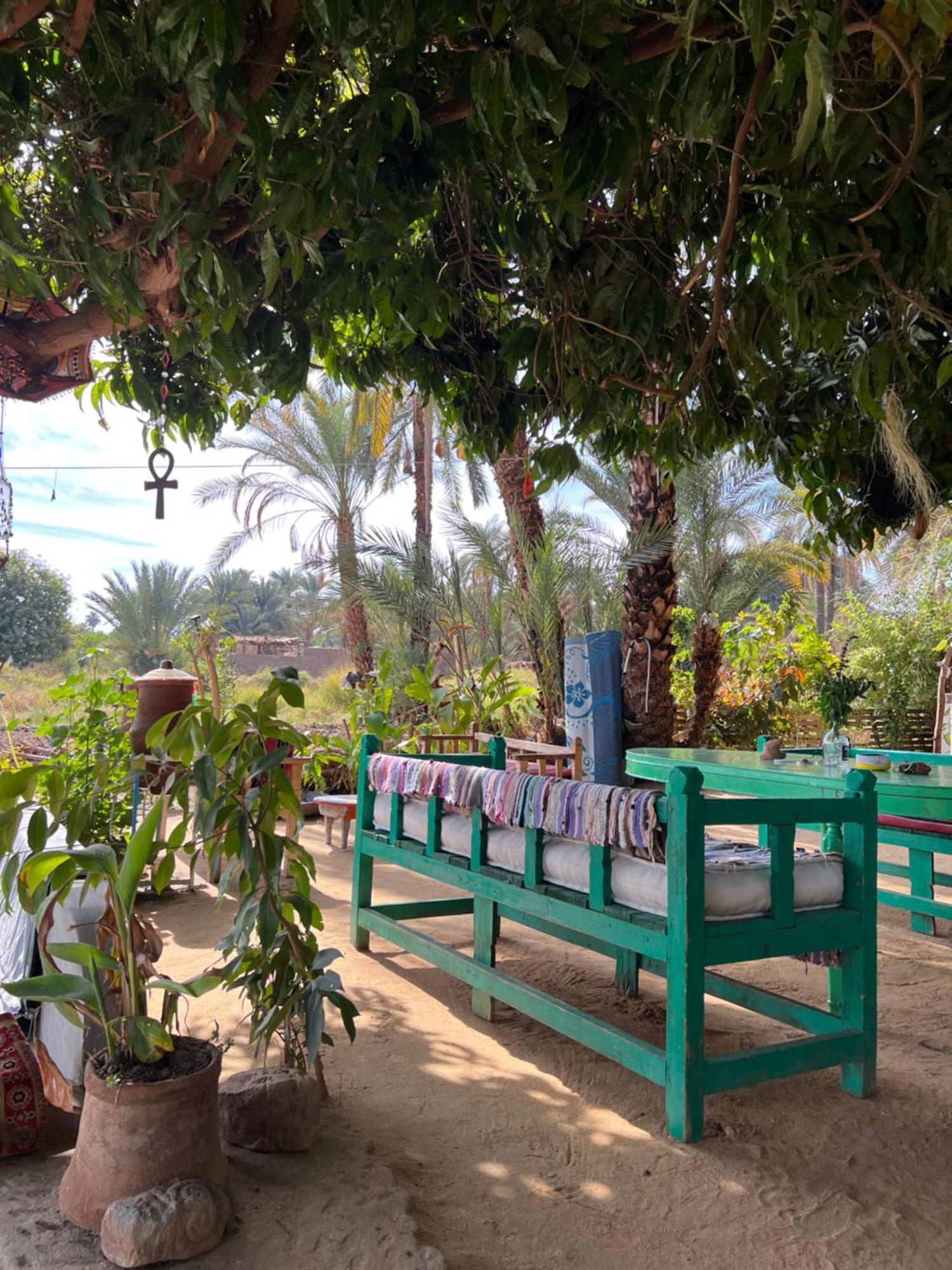 Konukevi Salatoos Mango Garden And *