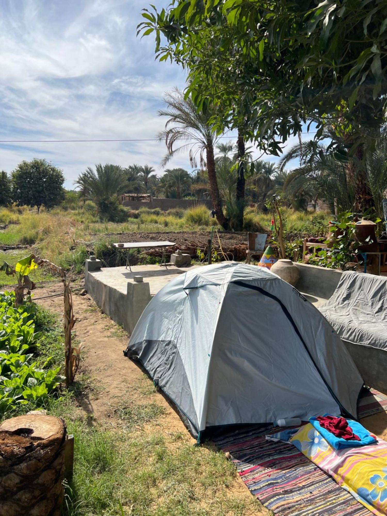 Salatoos Mango Garden And Asvan