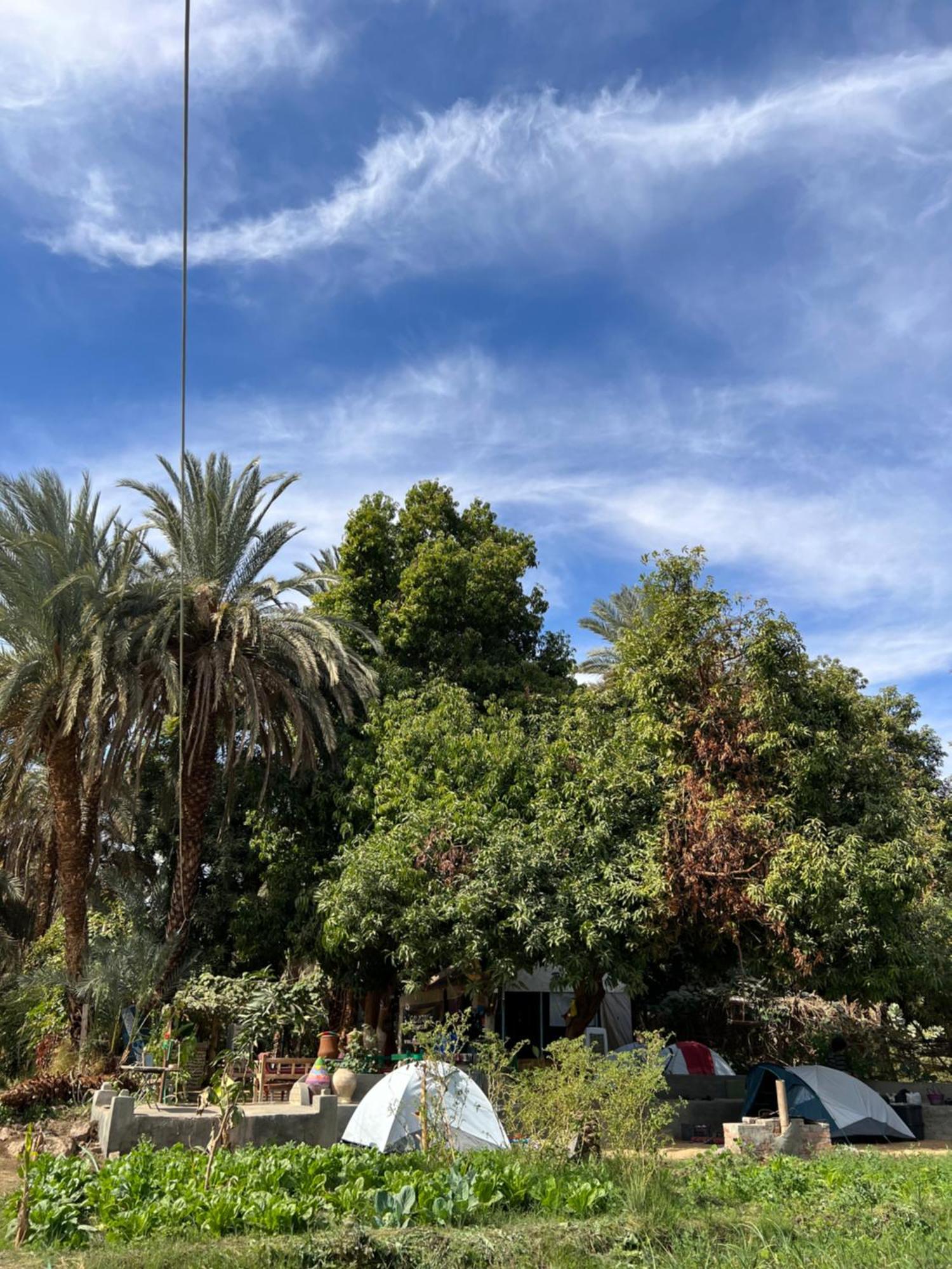 Salatoos Mango Garden And