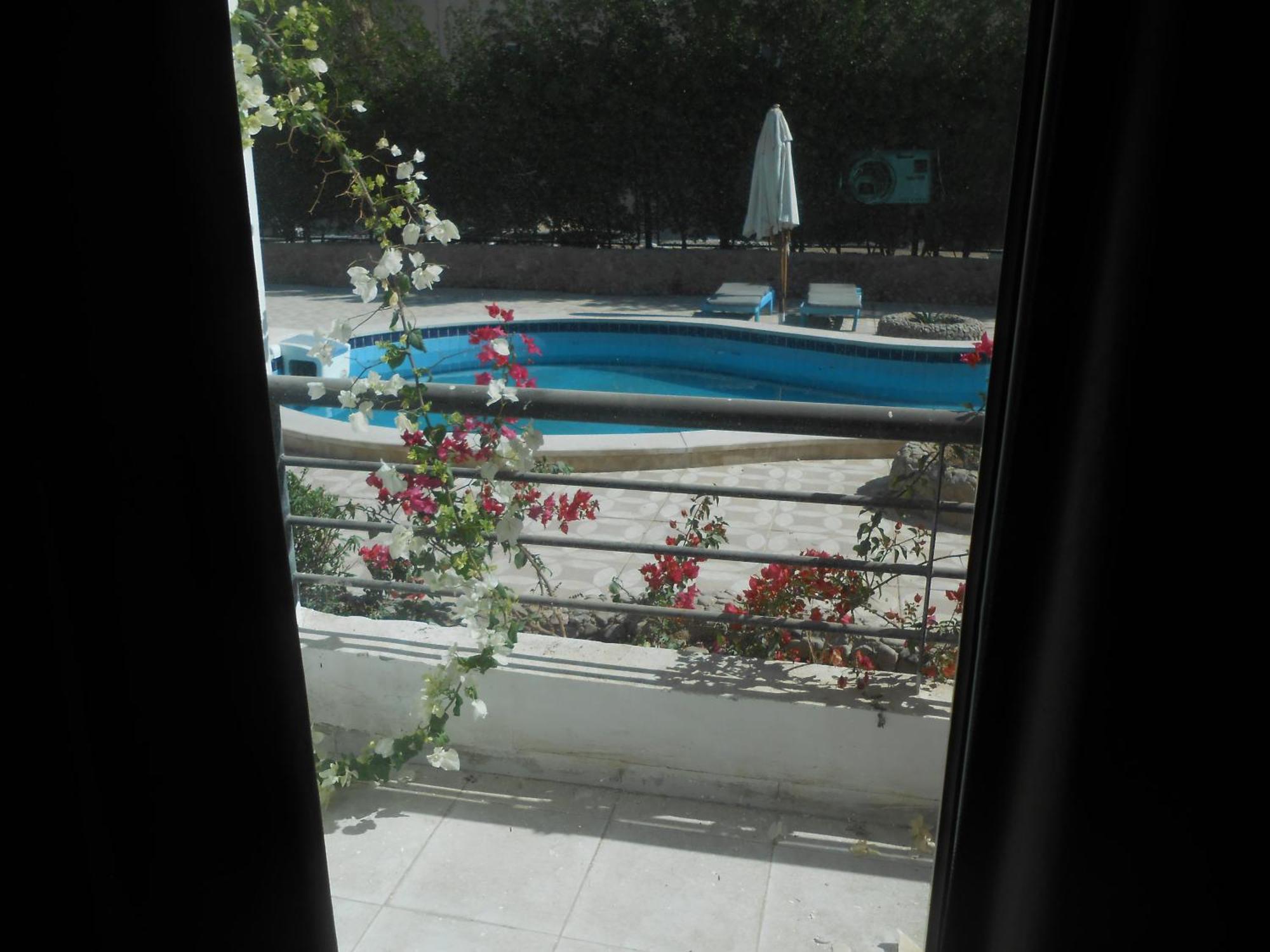 Fox House & El Gouna 4*