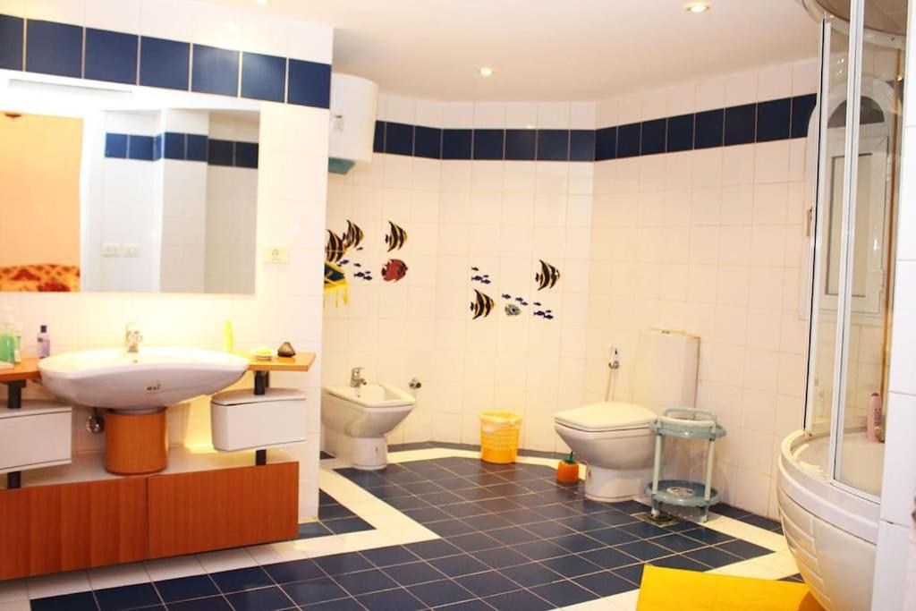 Villa Fantastic With Privet Pool For Family In Naama Bay *