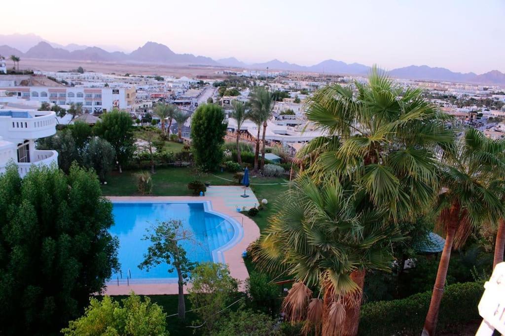 Fantastic With Privet Pool For Family In Naama Bay