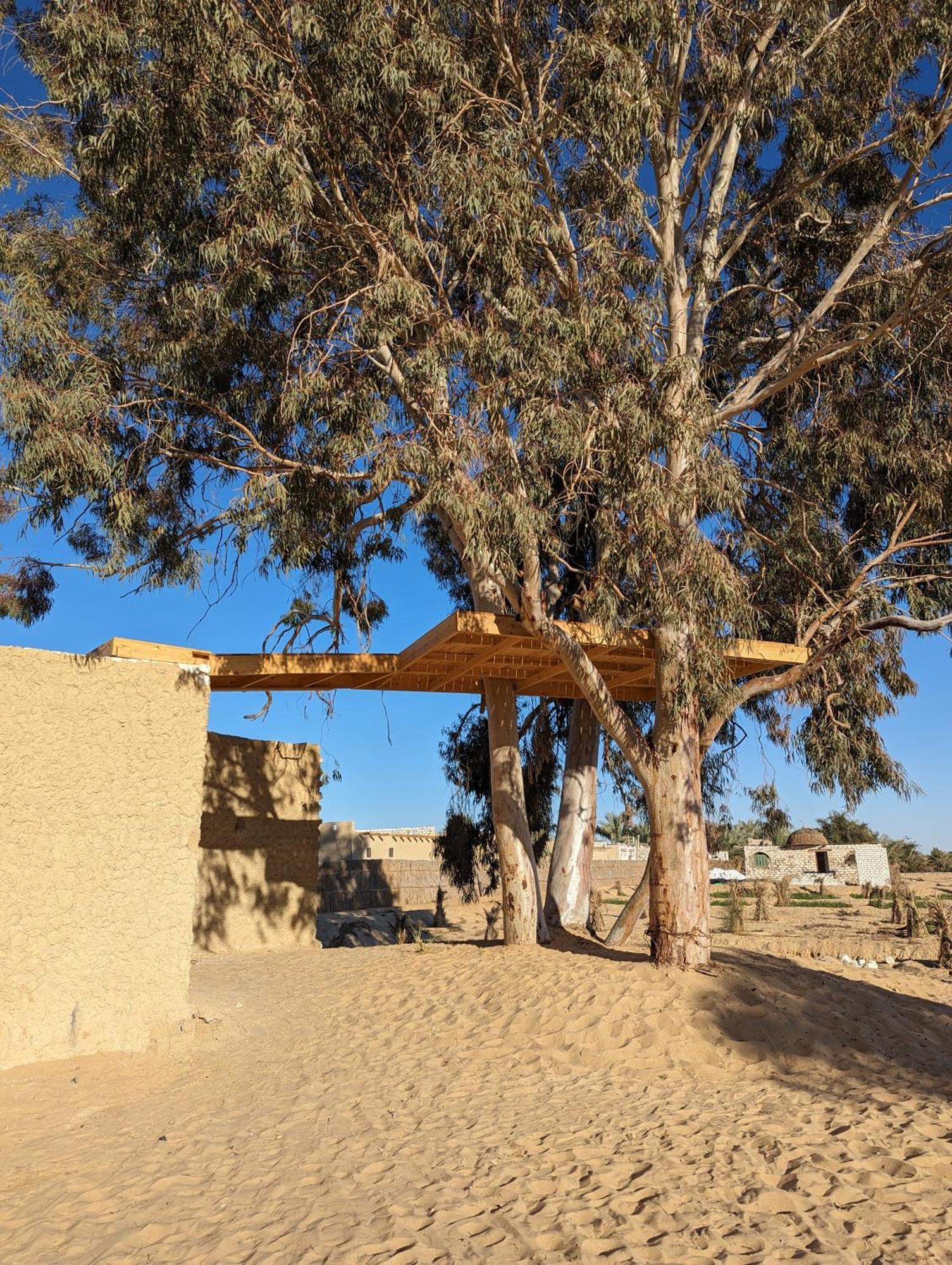 Camping Cafour House Siwa - Hot Spring *