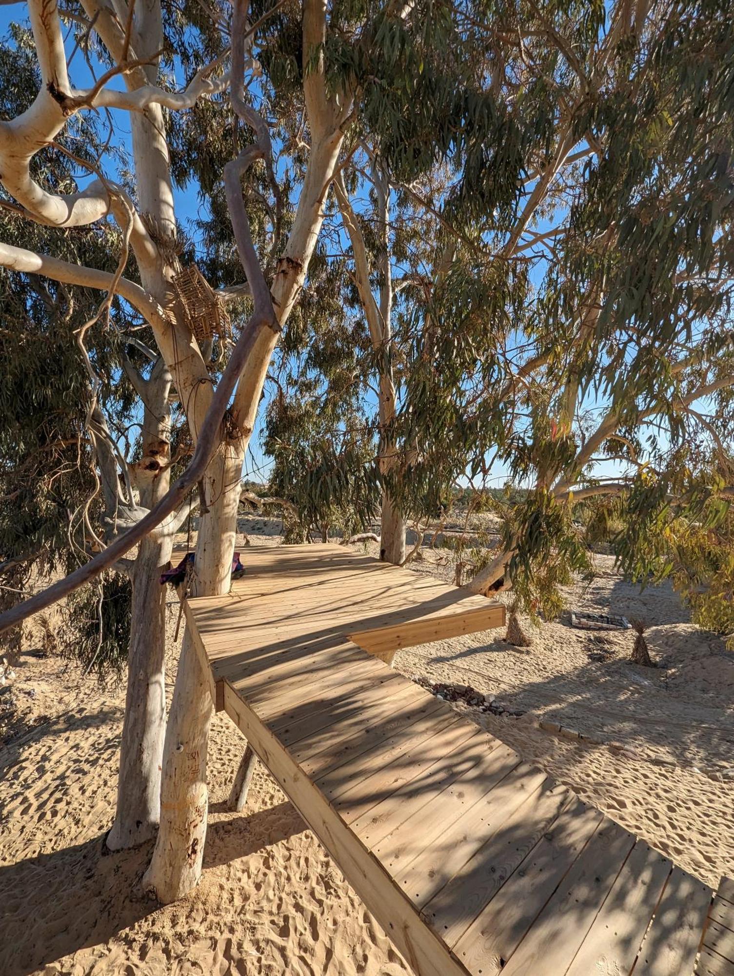 Cafour House Siwa - Hot Spring Siwa Oasis