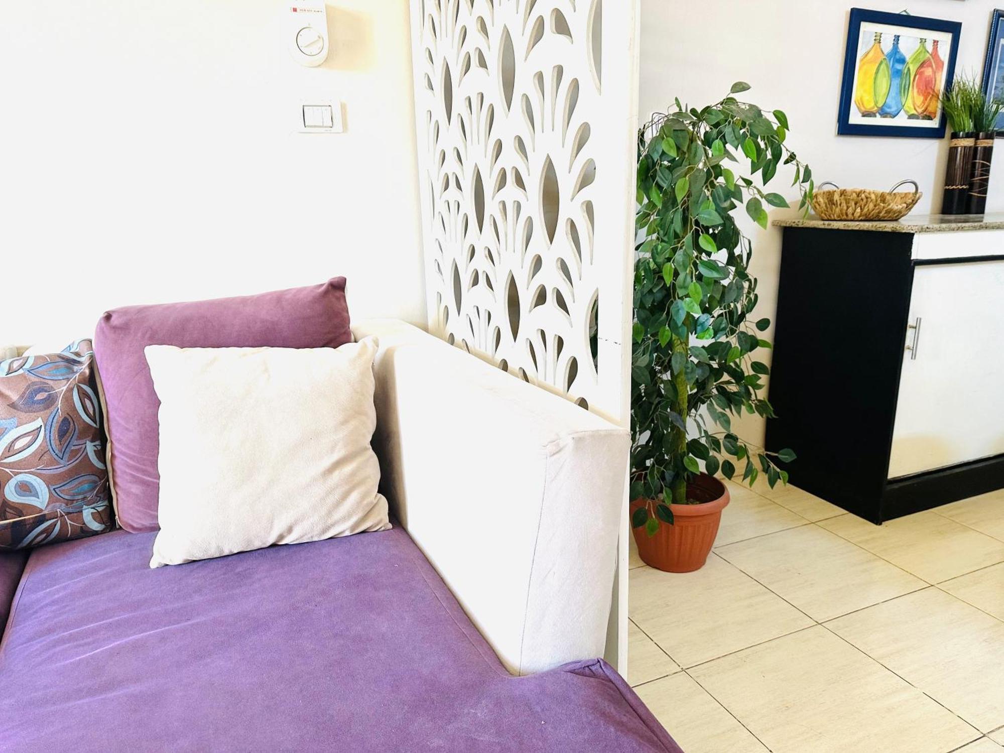 Apartment Zebra Center