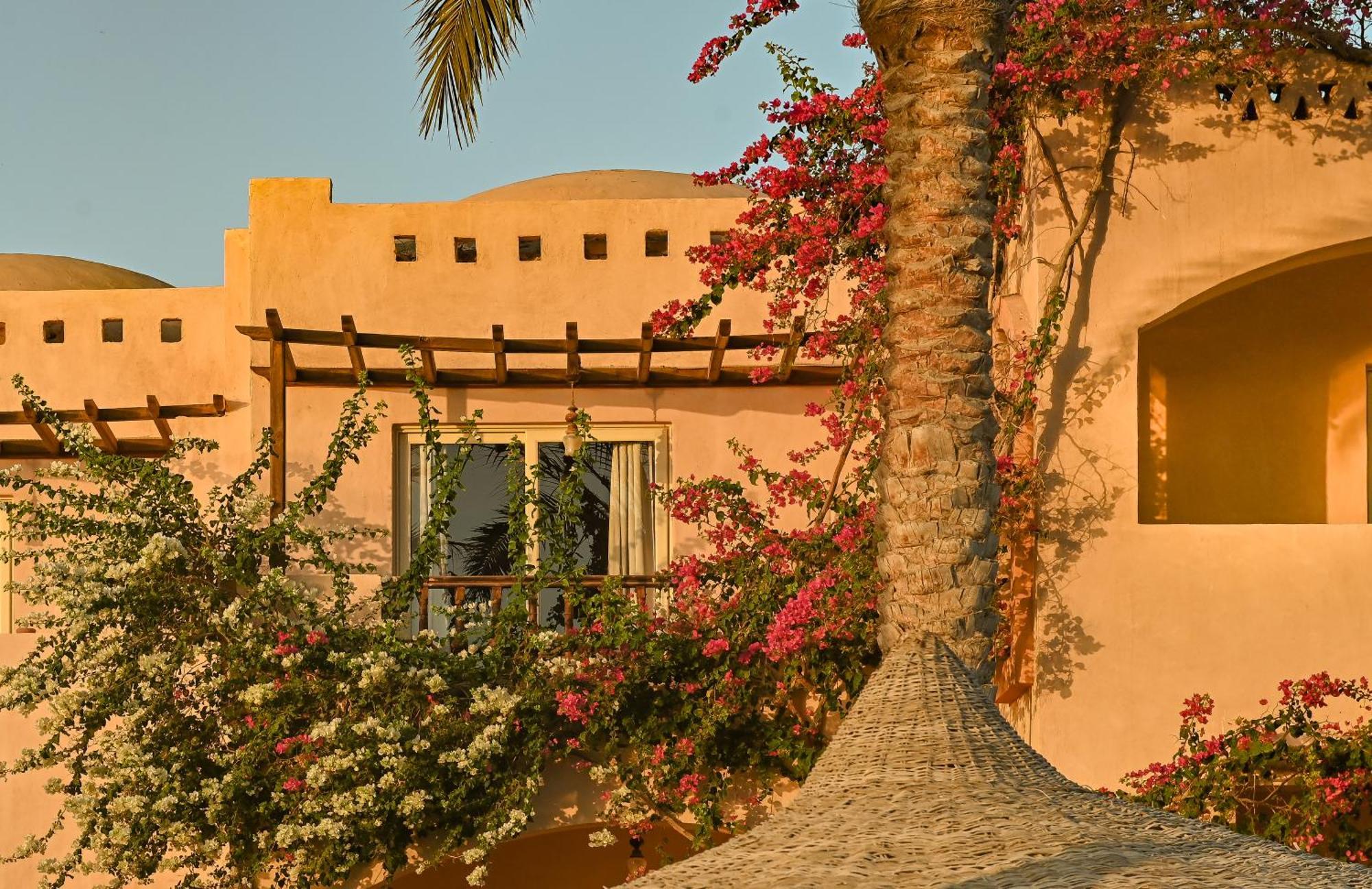 Dream Lagoon & Aqua Park Hotel 4*