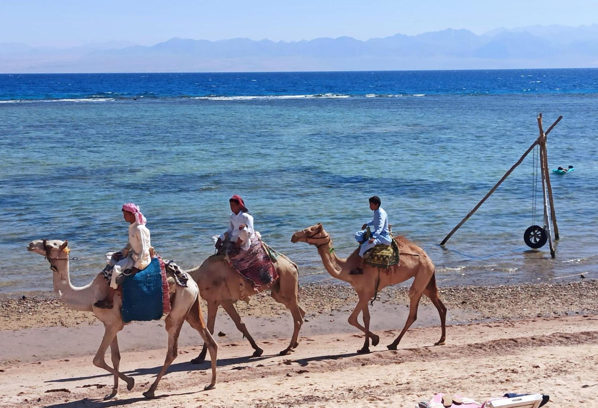 Star Dune Camp Resort Nuweiba