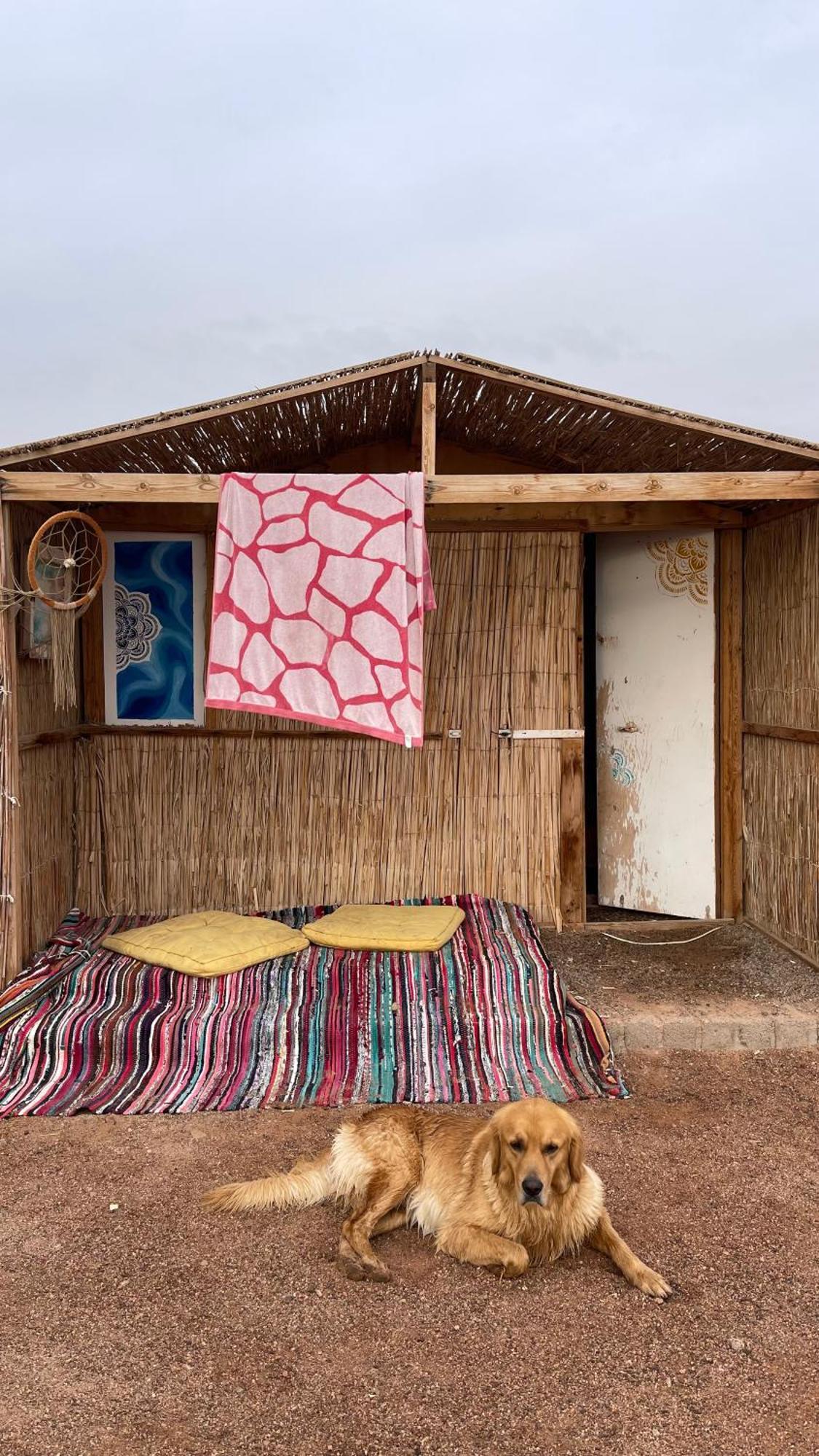 Alwaha Camp *