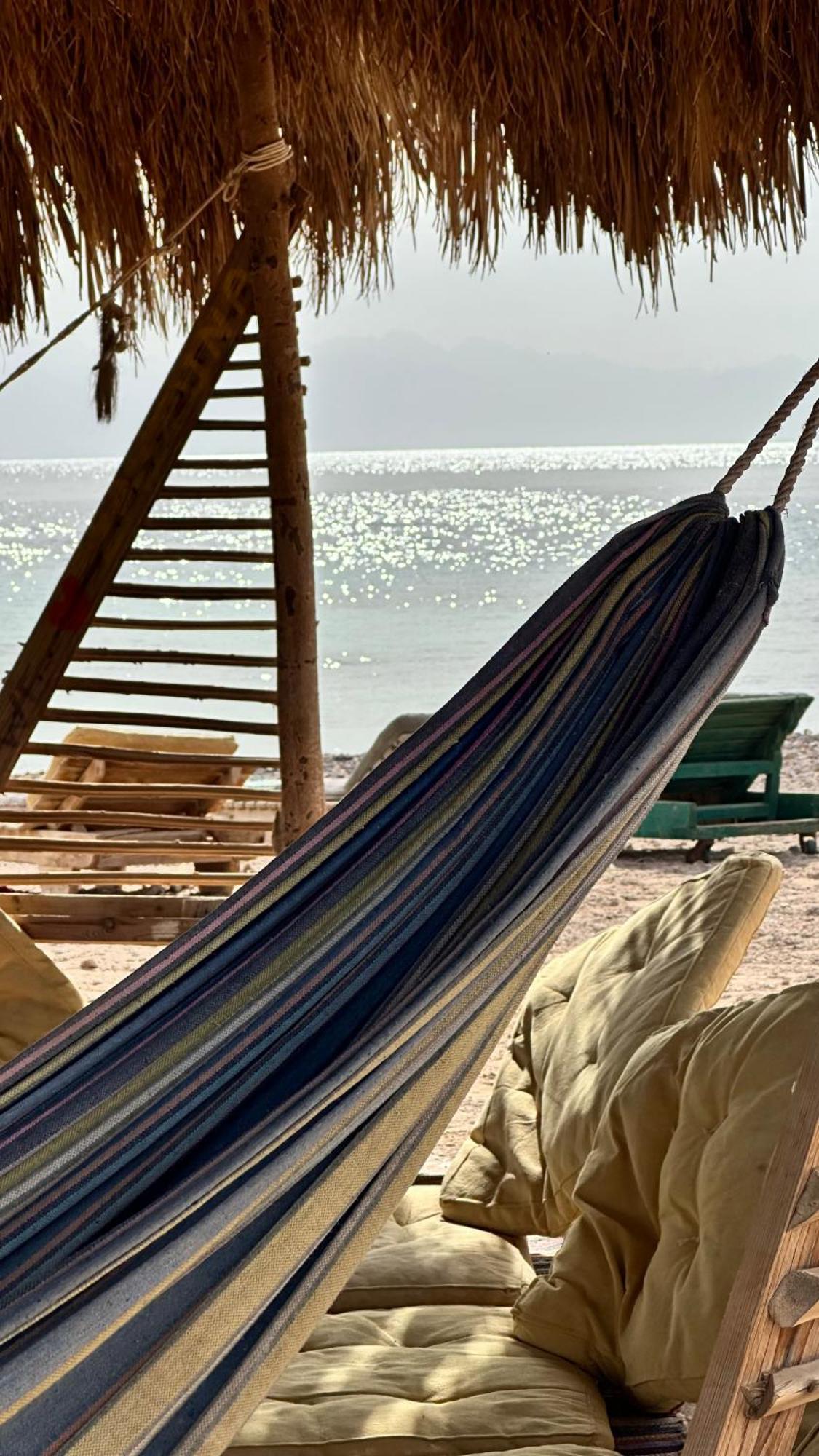 Alwaha Camp * Nuweiba