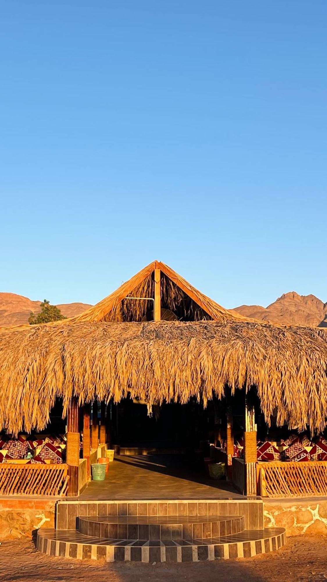 Alwaha Camp Campsite