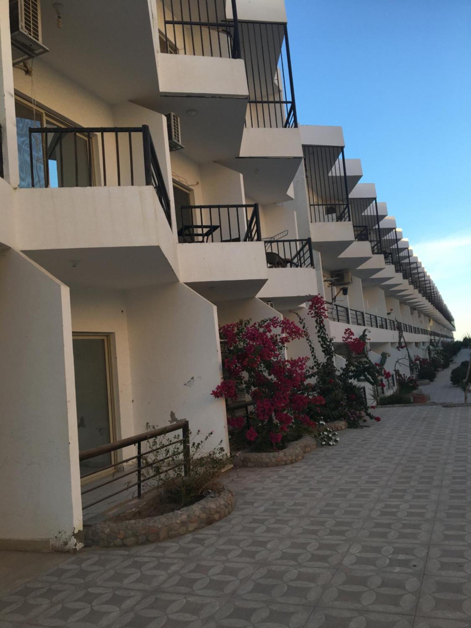 Fox House Hurghada