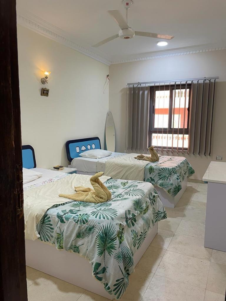 Guest house Villamar Sea View & *