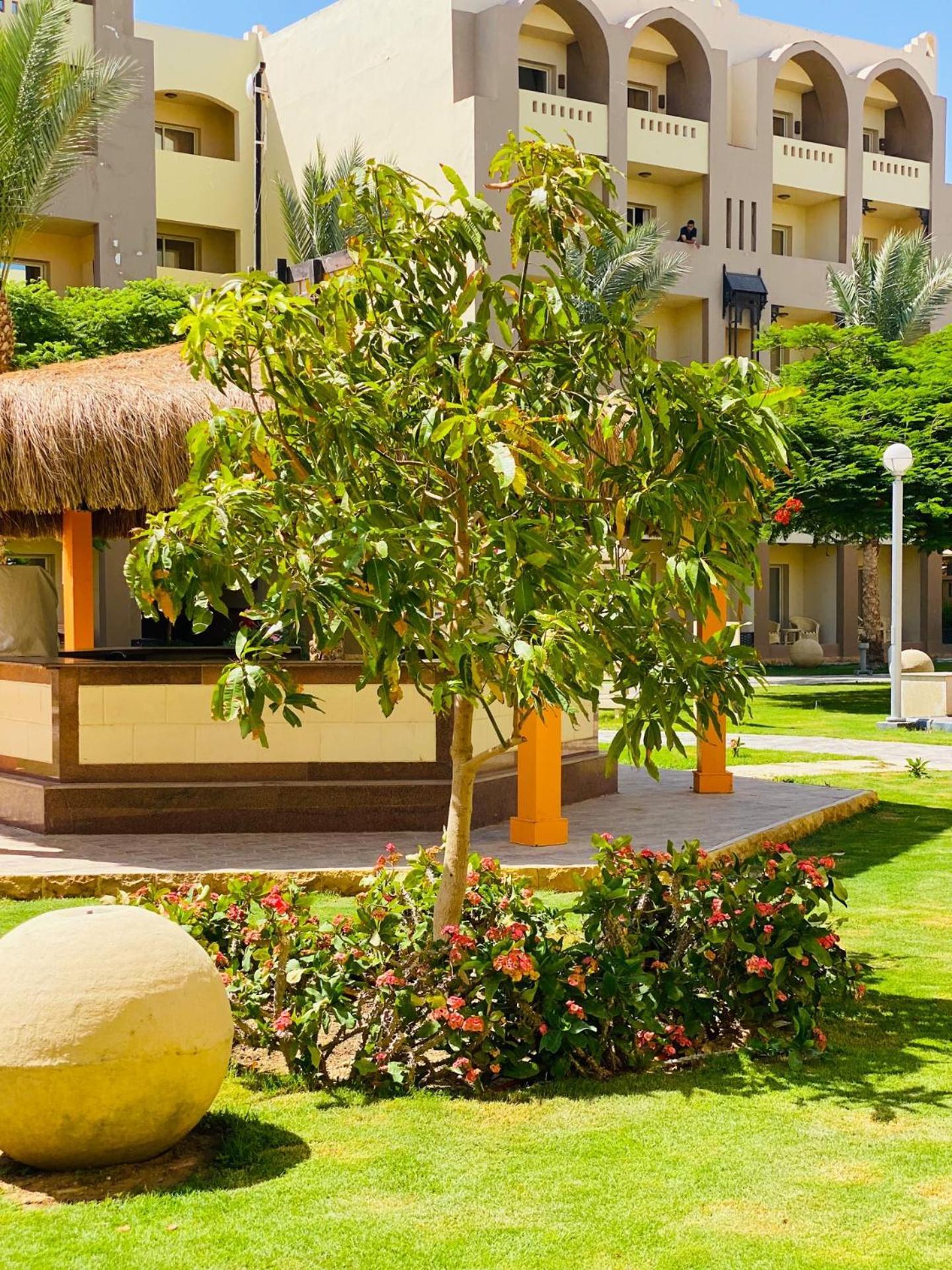 Go Egypt Inside Karma North Al Ahiaa , Apartamento
