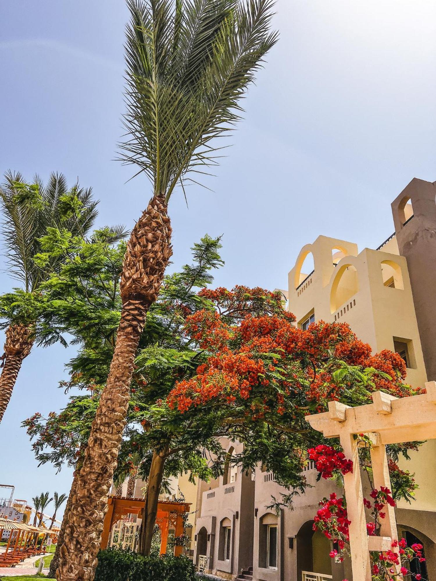 Go Egypt Inside Karma North Al Ahiaa , Apartamento *