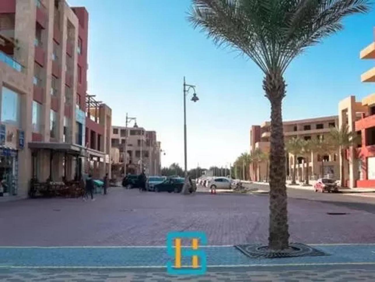Perfect For Pet Lovers, Sunny With Pool & Seaview & Free Wi-fi Apartment Hurghada
