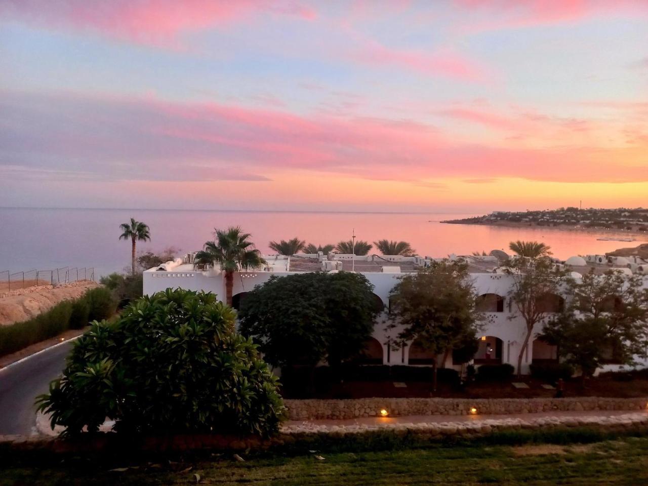 Domina Coral Bay Sultan - Private