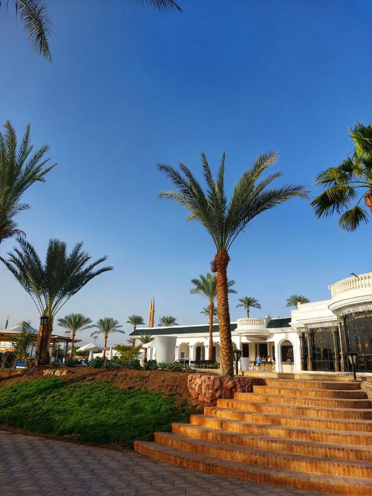 Seti Palm Families And Couples Only 4* Sharm el-Sheikh