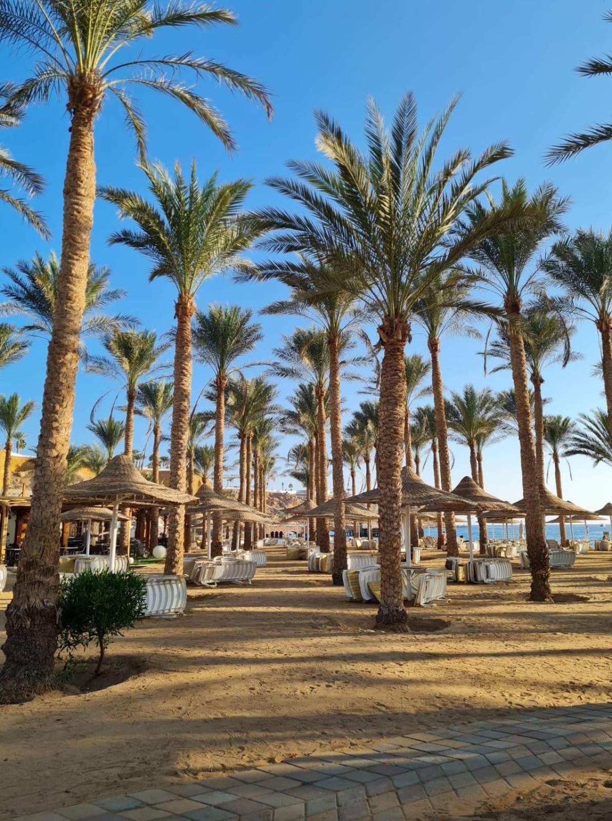 Hotel Seti Palm Families And Couples Only