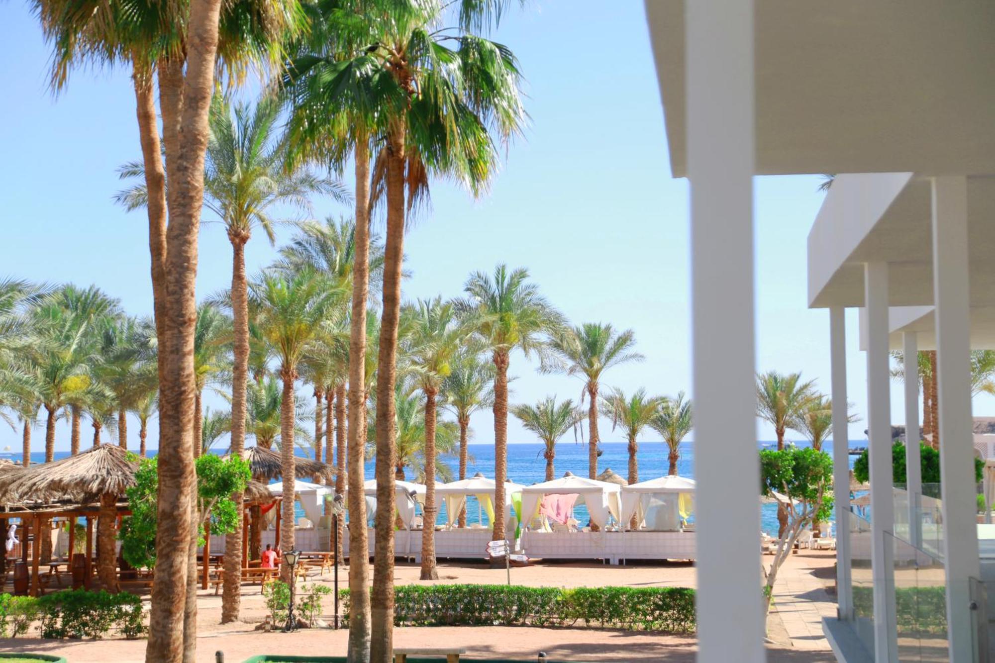 Hotel Seti Palm Families And Couples Only 4*
