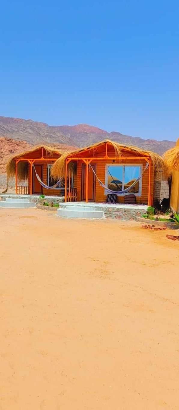 Hotel Full Moon Camp Sinai