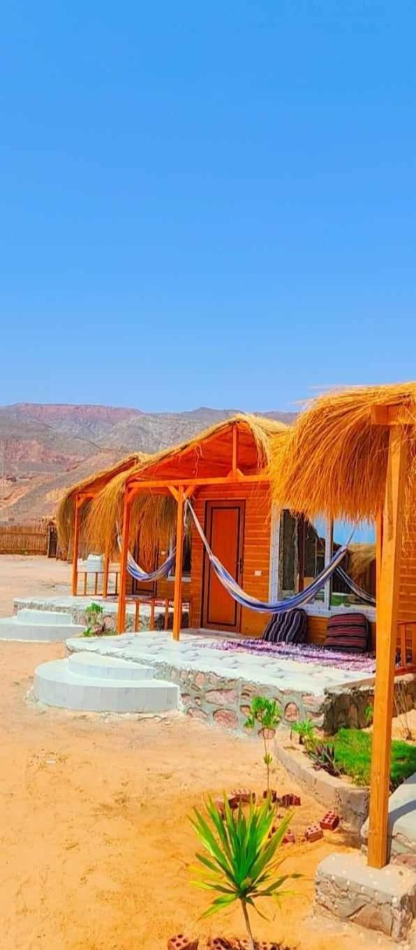 Full Moon Camp Sinai Hotel *