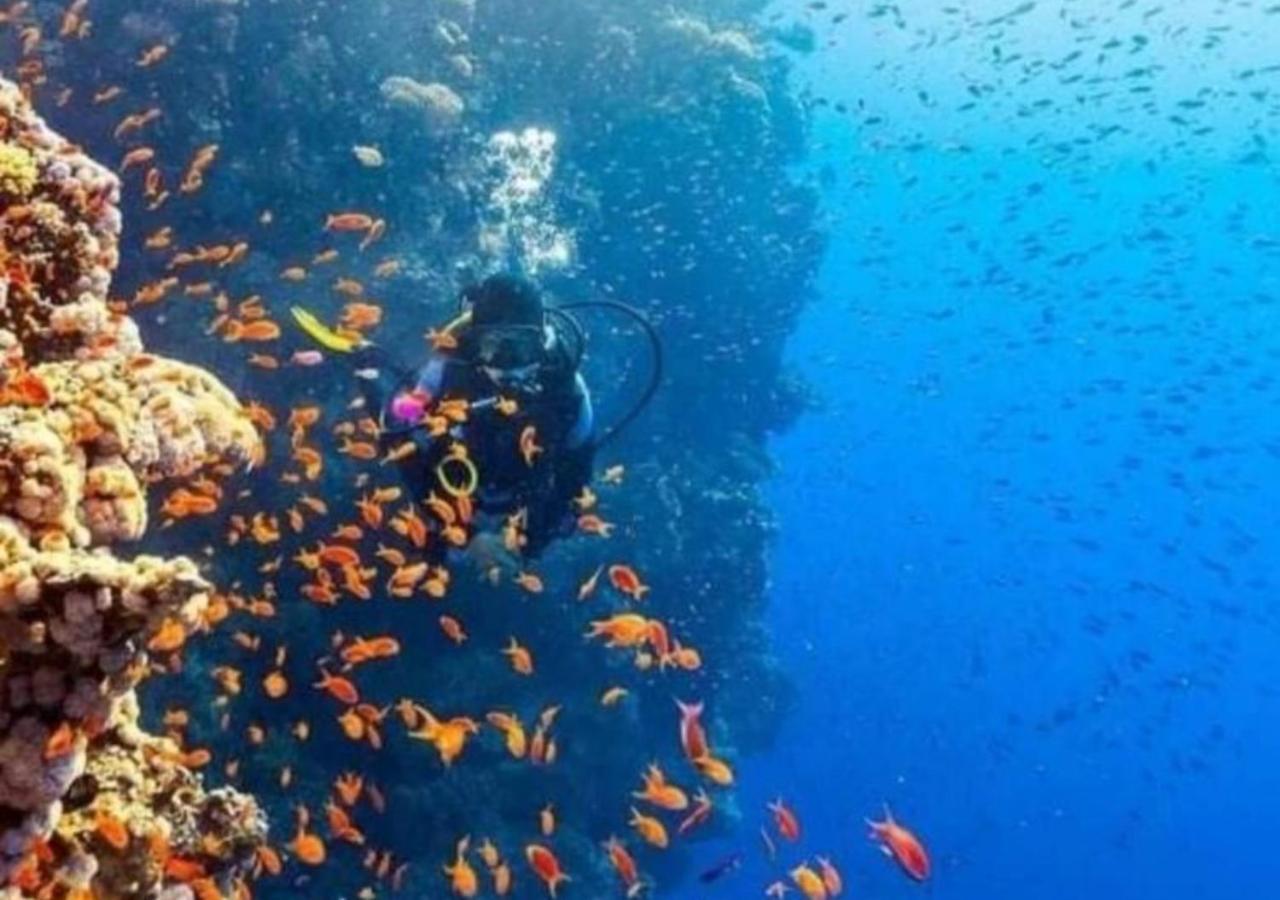 Al Dora 3* Hurghada