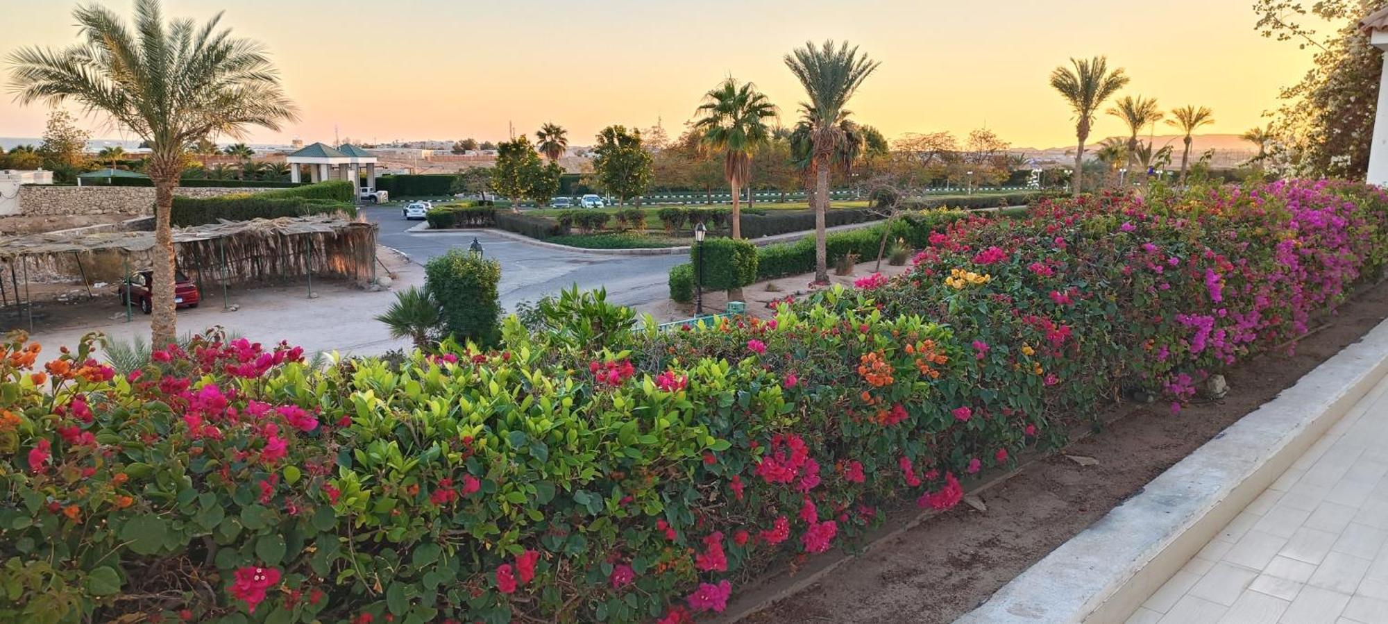 Complex Eden Rock Namaa Bay Sharm el-Sheikh