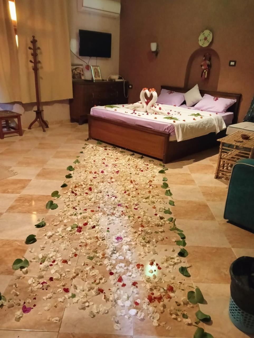 Panta Siwa بنتا لودج سيوة 4*