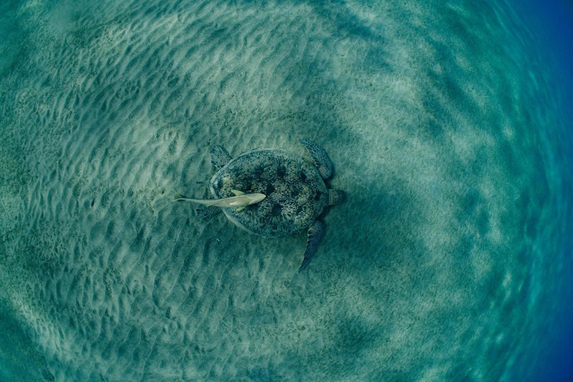 Wadi Sabarah Marsa Alam
