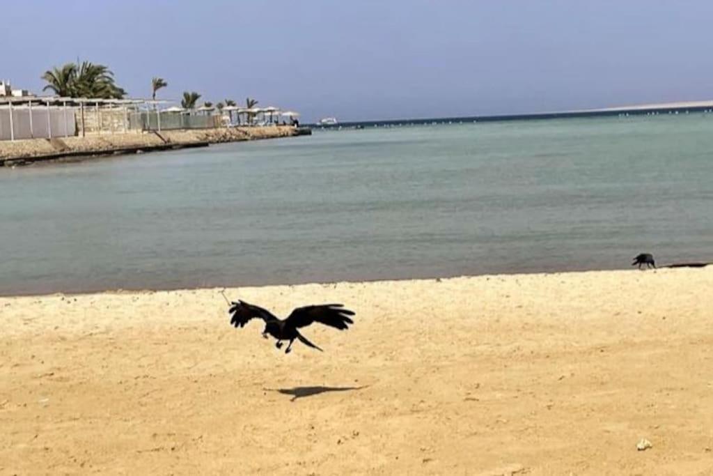 Florenza Khamsin - Sea View / Free Wi-fi Apartment Hurghada