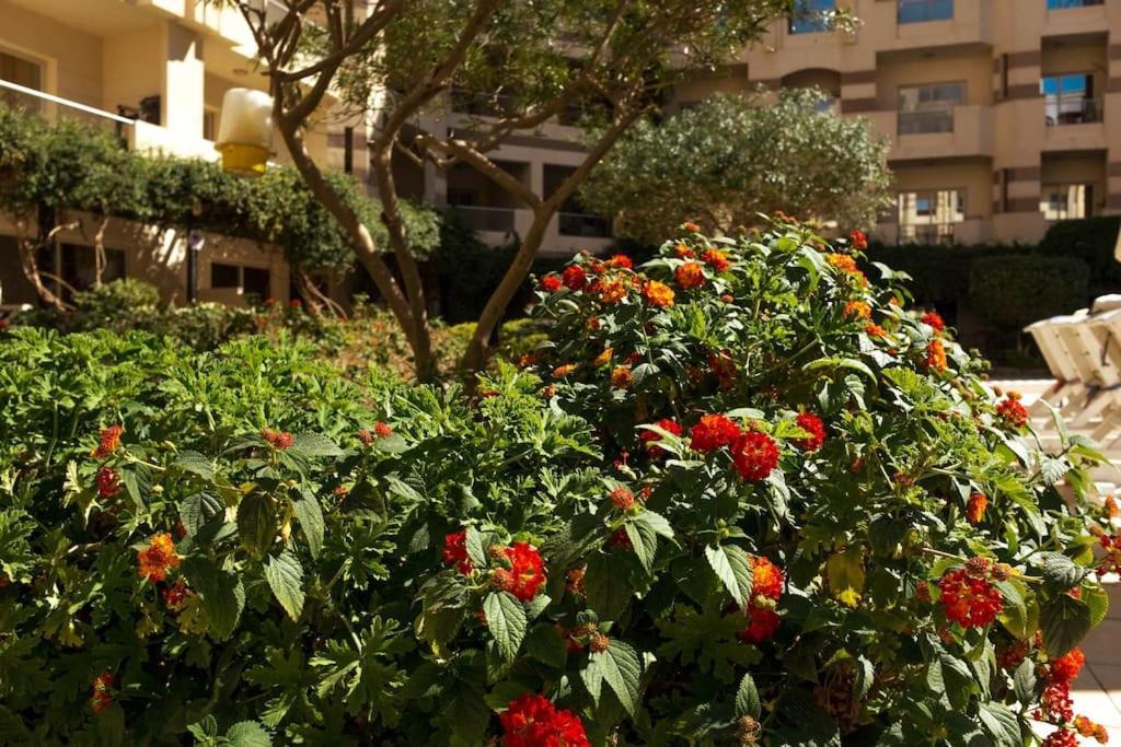 Florenza Khamsin - Sea View / Free Wi-fi Apartment