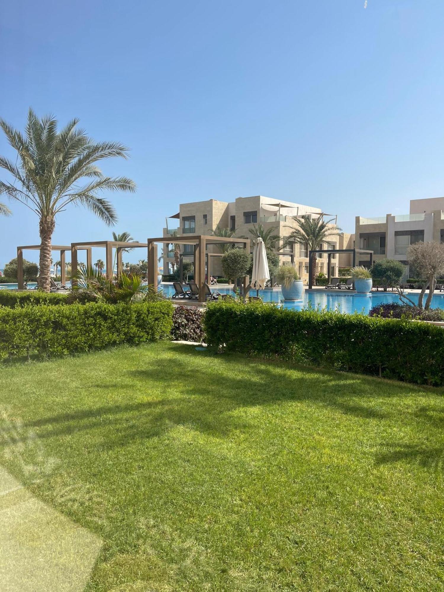 Mangroovy El Gouna - Grovin *