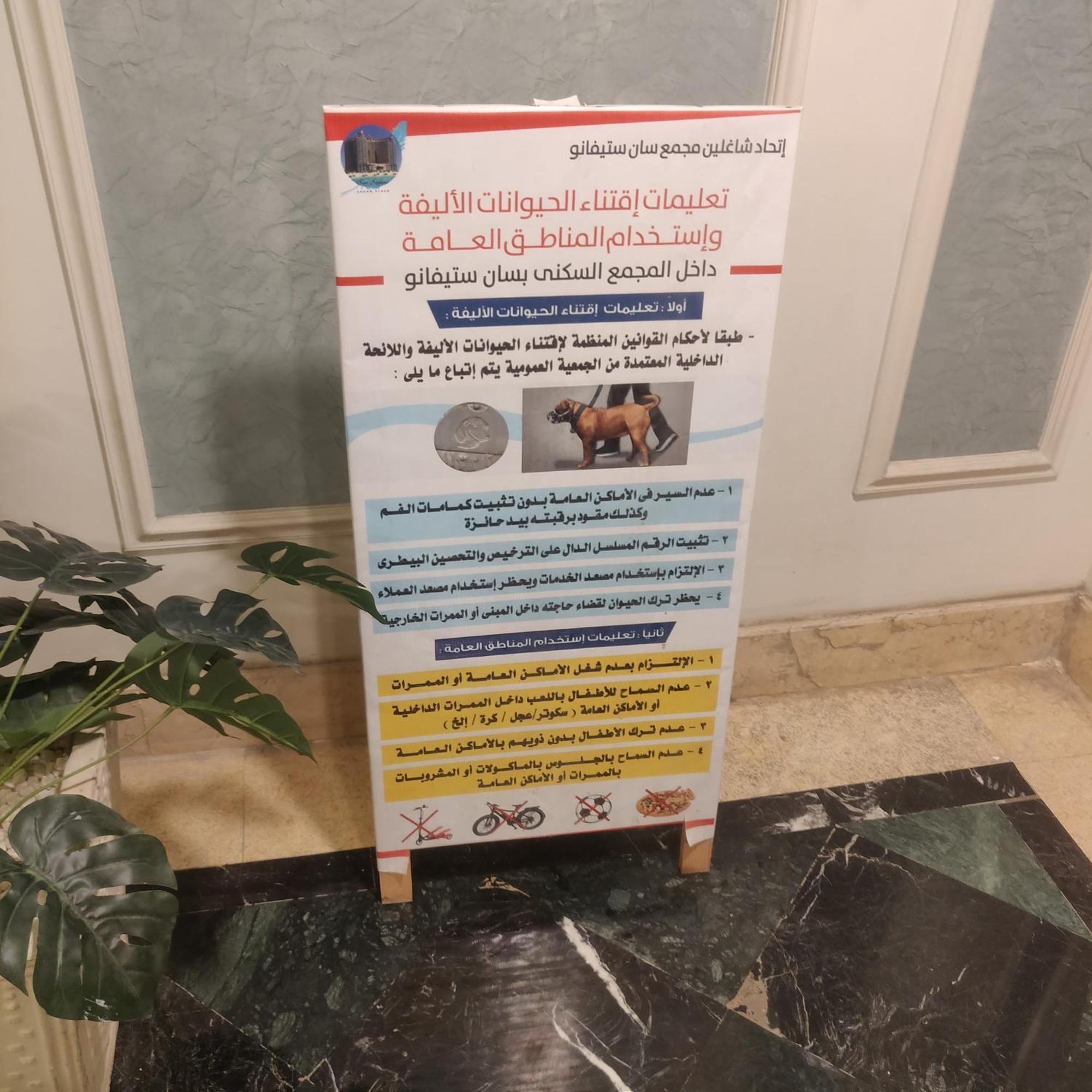 أجنحة ابراج سان استفانو * Alexandria