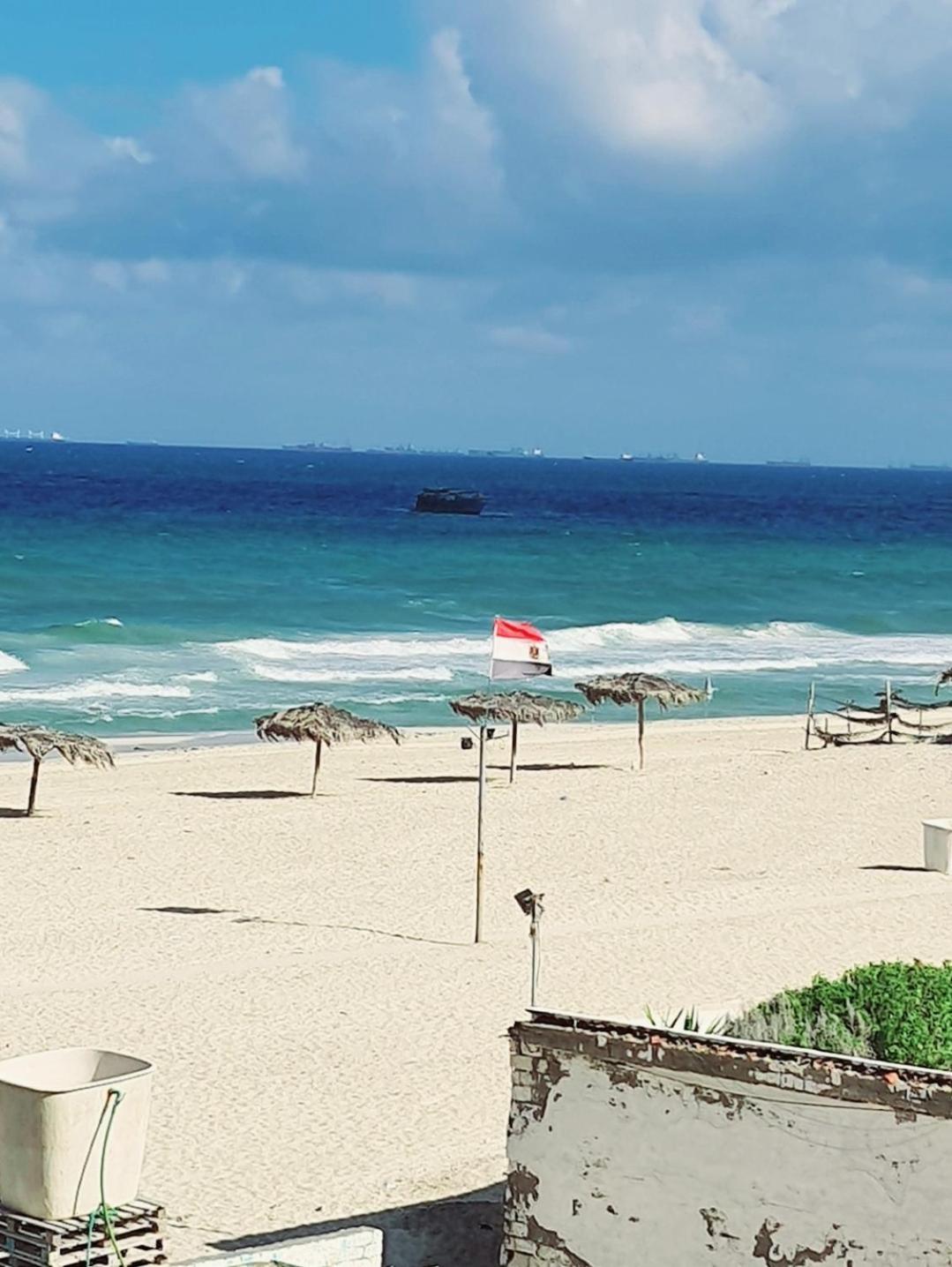 Bellevue Seaview Alexandria