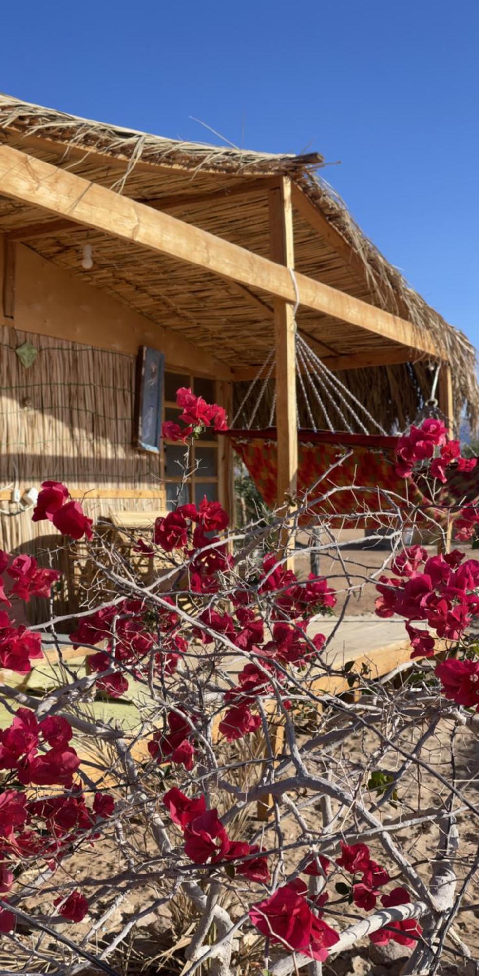 Campsite Alwaha Camp *