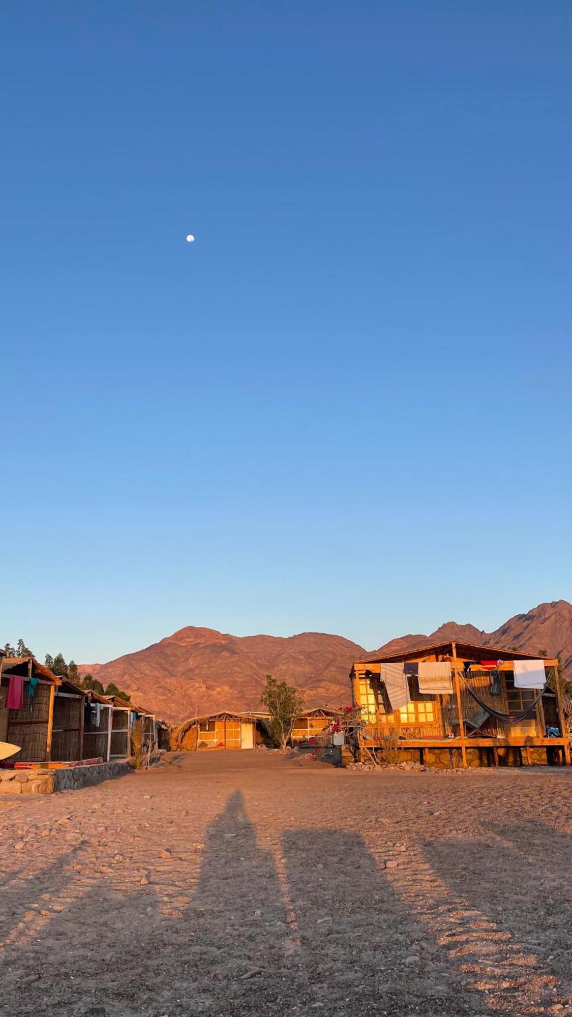 Campsite Alwaha Camp