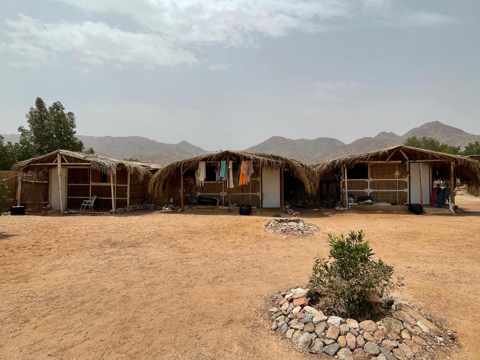 Alwaha Camp *