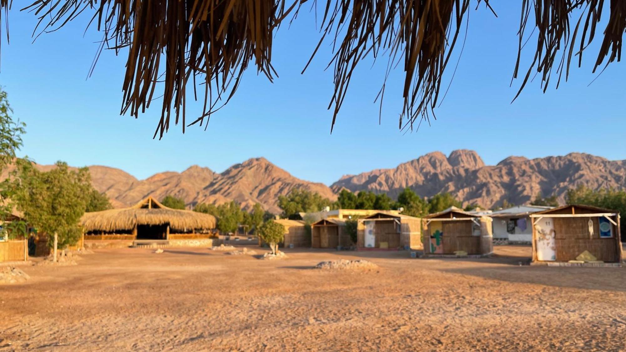 Alwaha Camp *