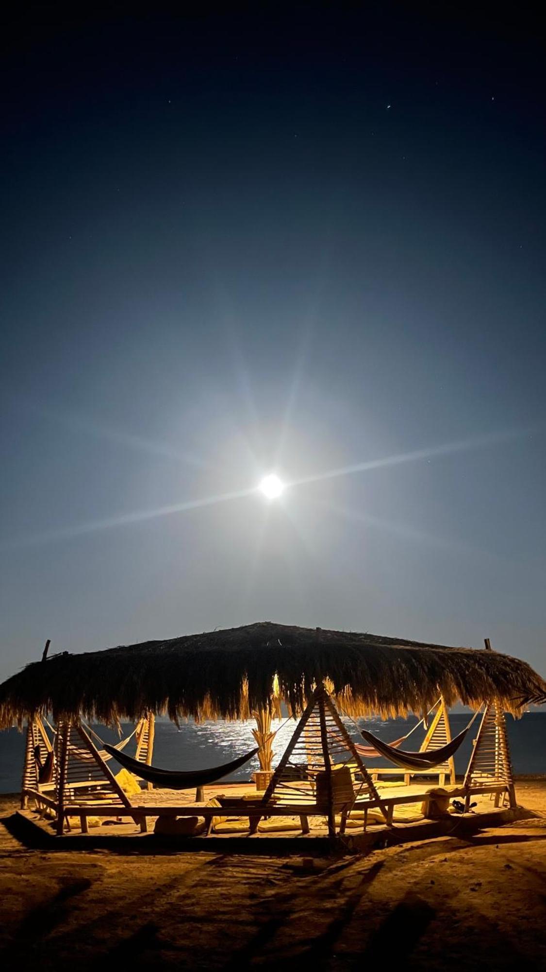 Campsite Alwaha Camp *