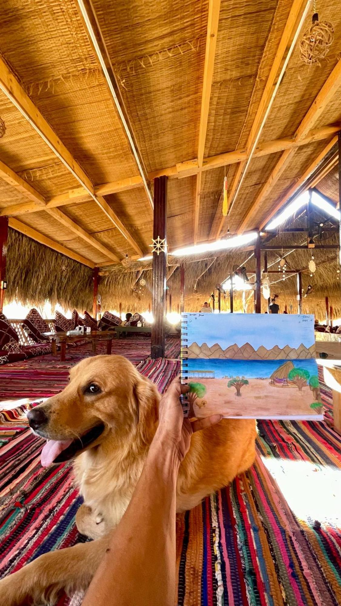 Campsite Alwaha Camp Nuweiba