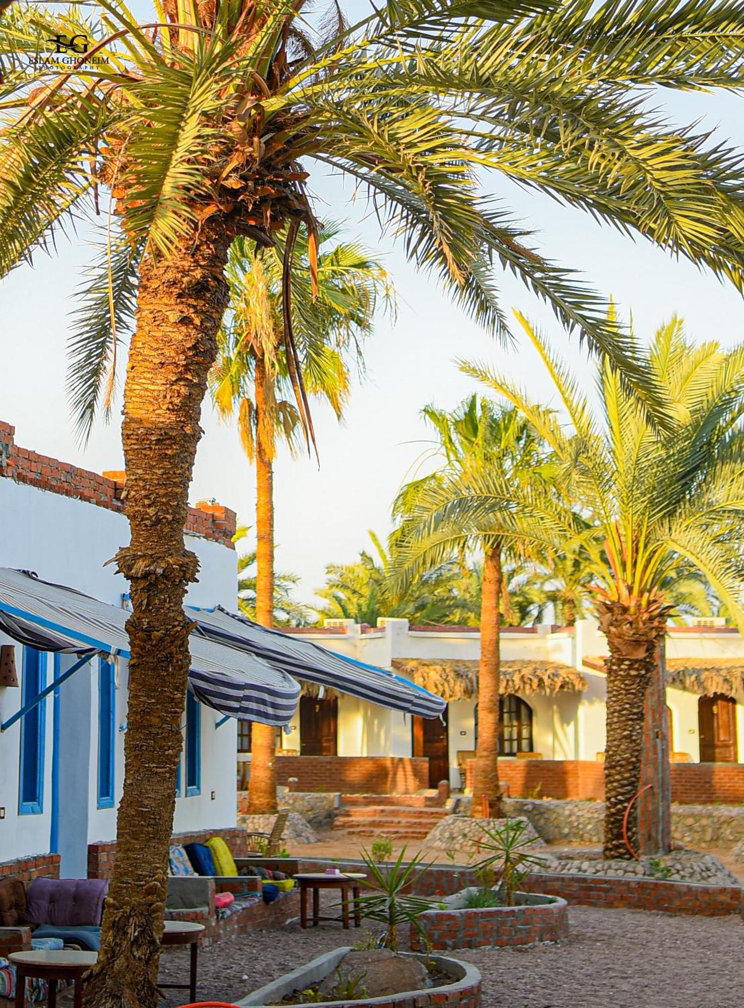 Campsite Palm Valley Camp