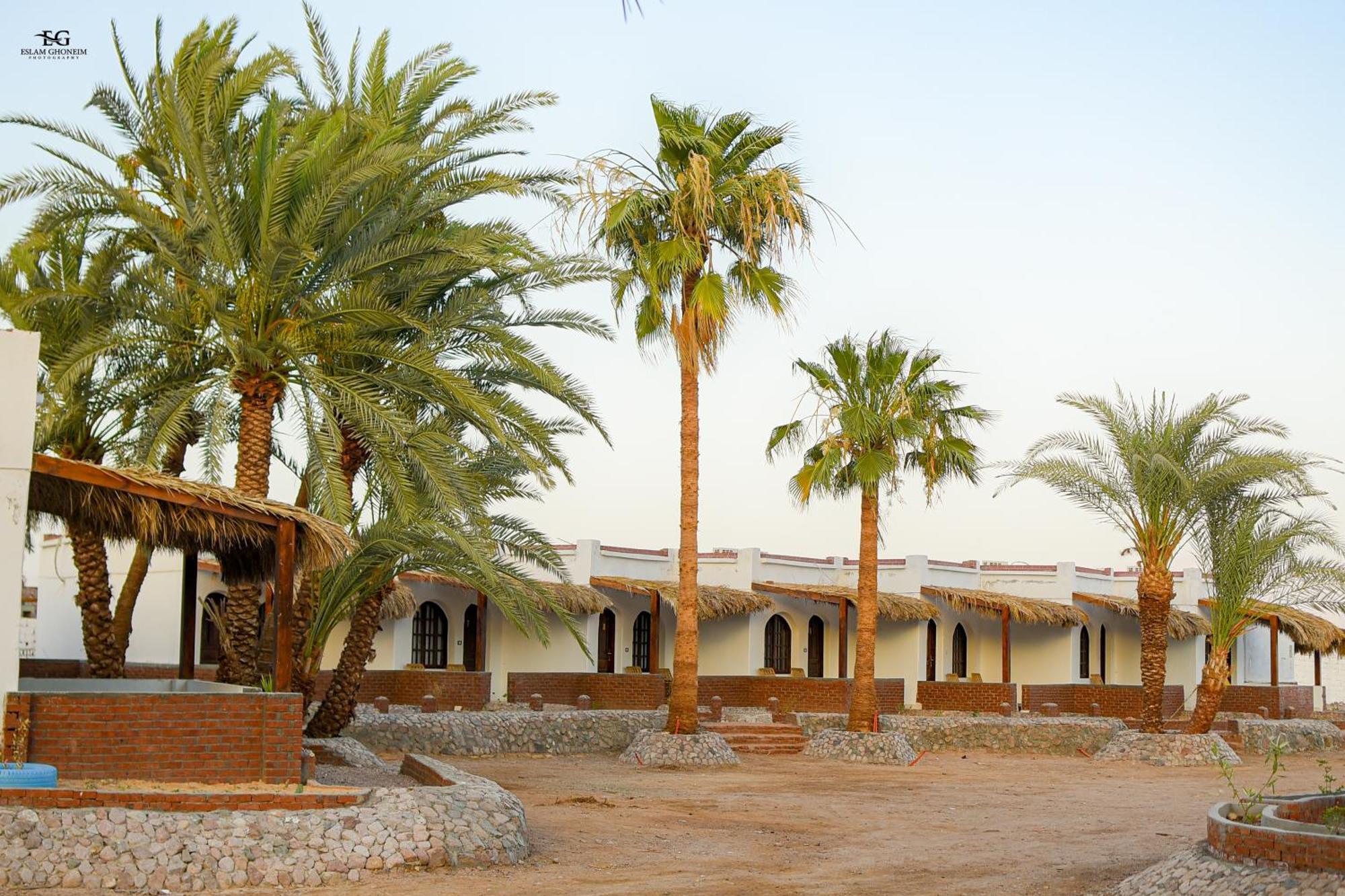 Campsite Palm Valley Camp Nuweiba