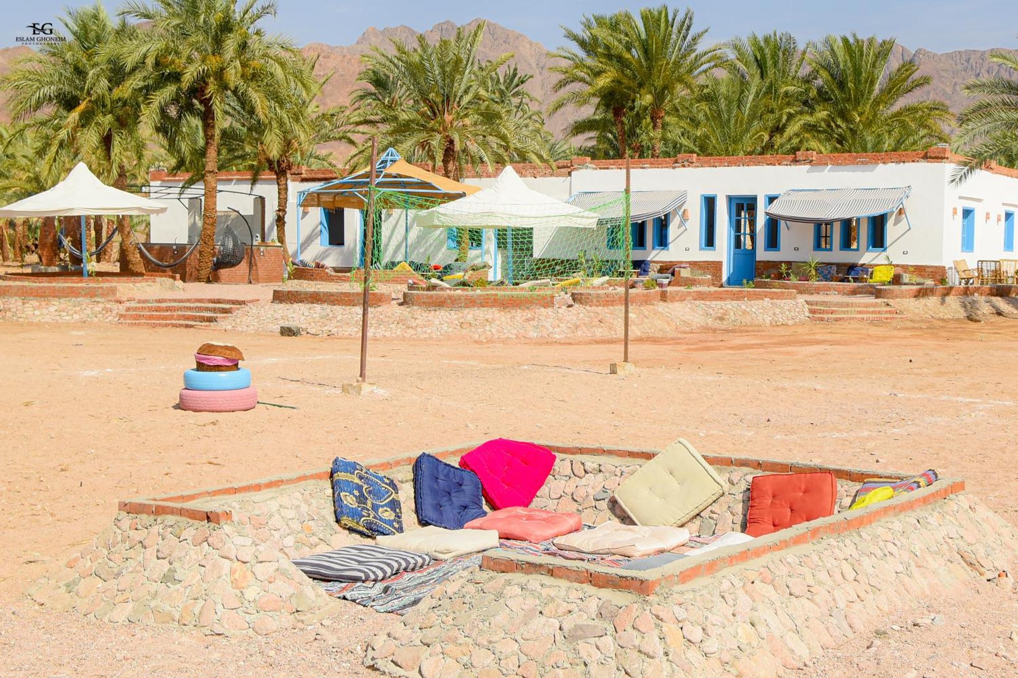 Campsite Palm Valley Camp Nuweiba