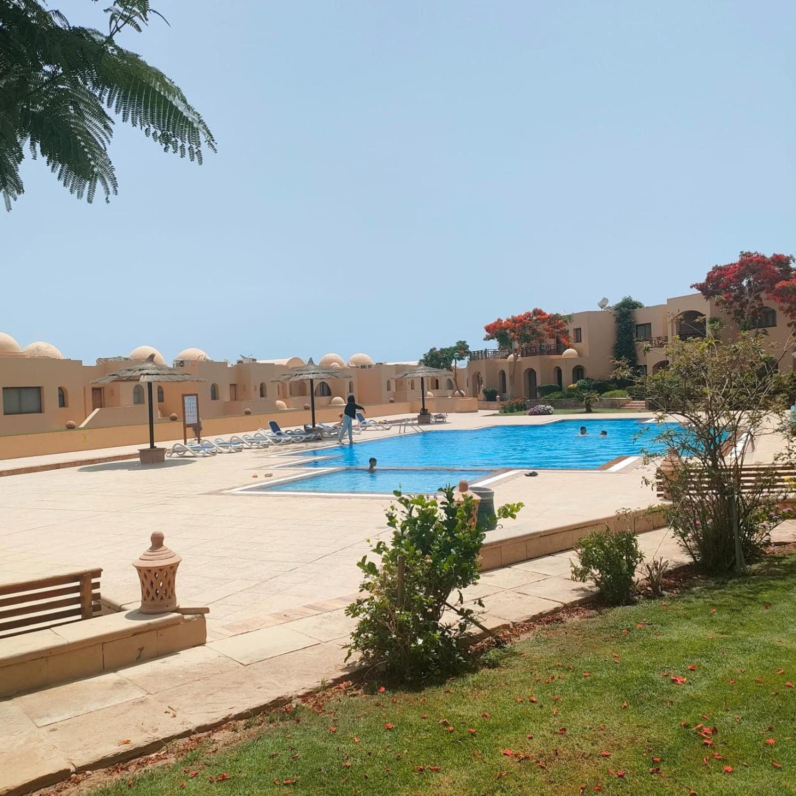 One Bedroom At The View - B104 *