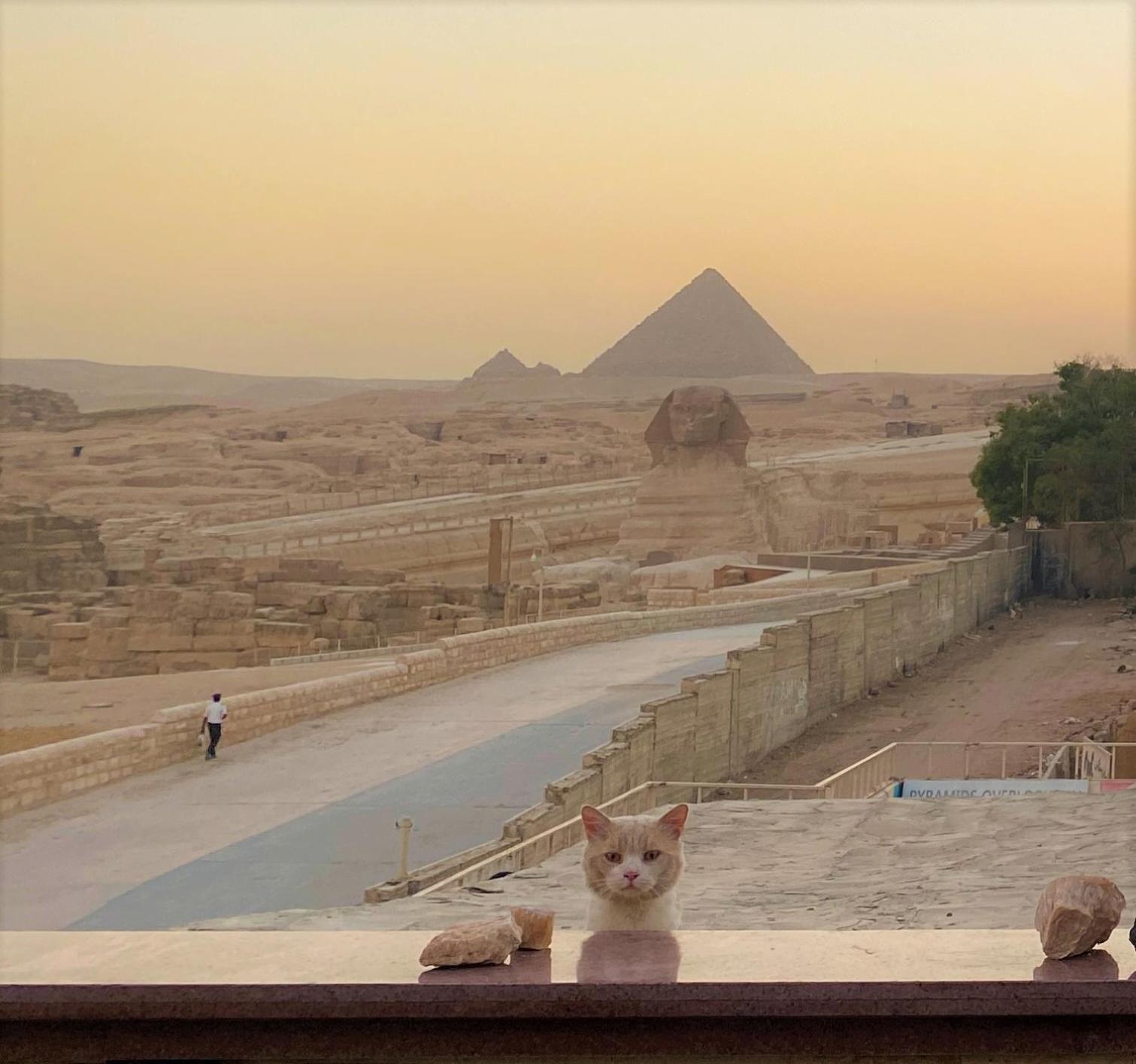 Seven Pyramids Panoramic View Oda ve Kahvaltı *