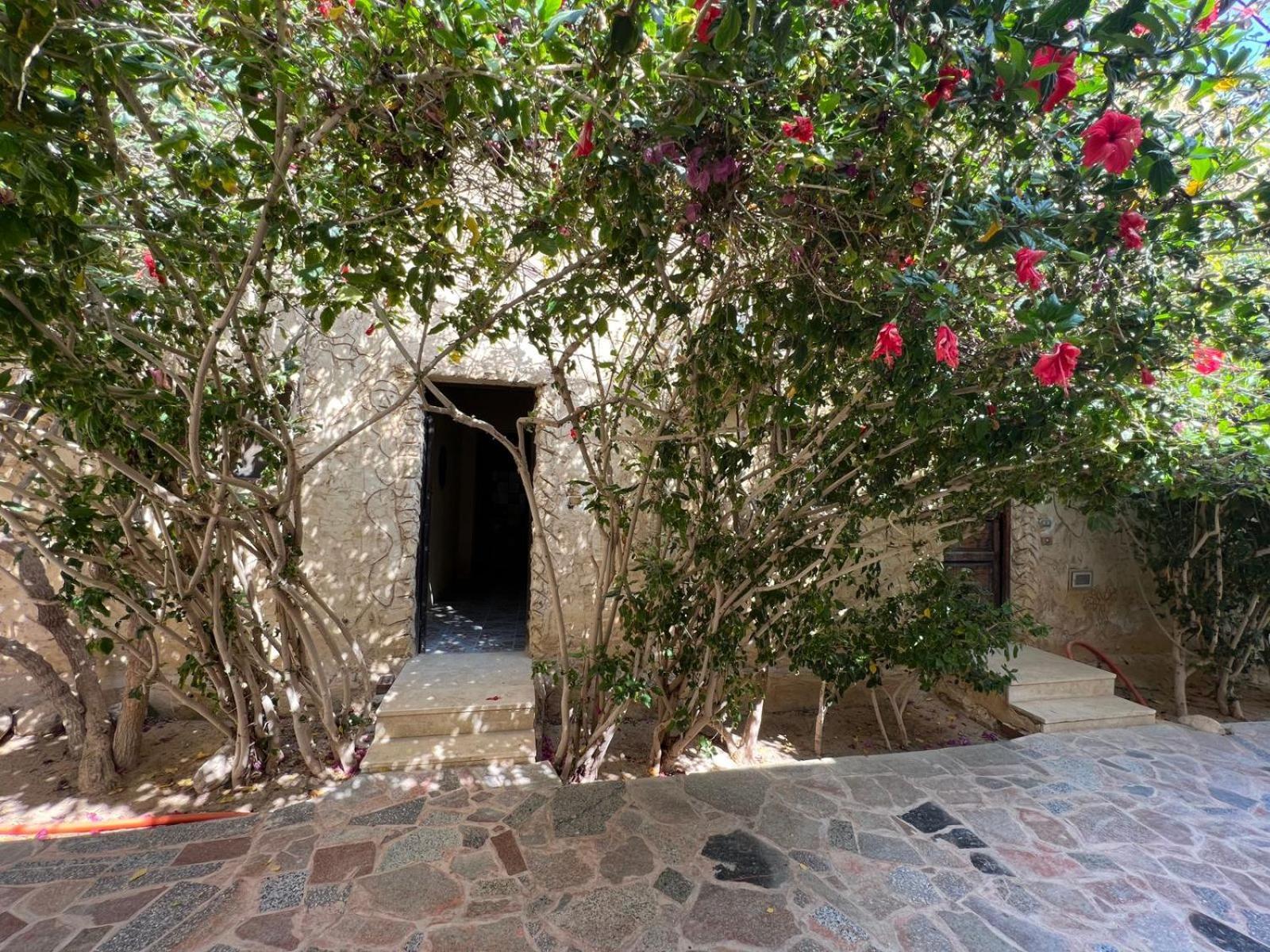 Zad El Mosafer Guest house Tunis