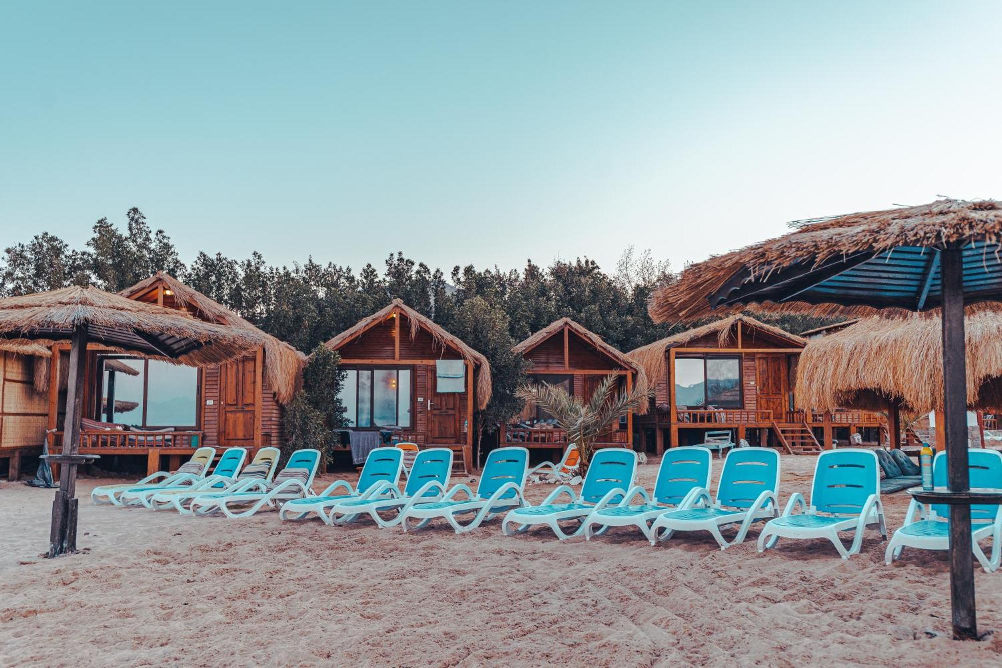 Paradise Sweir