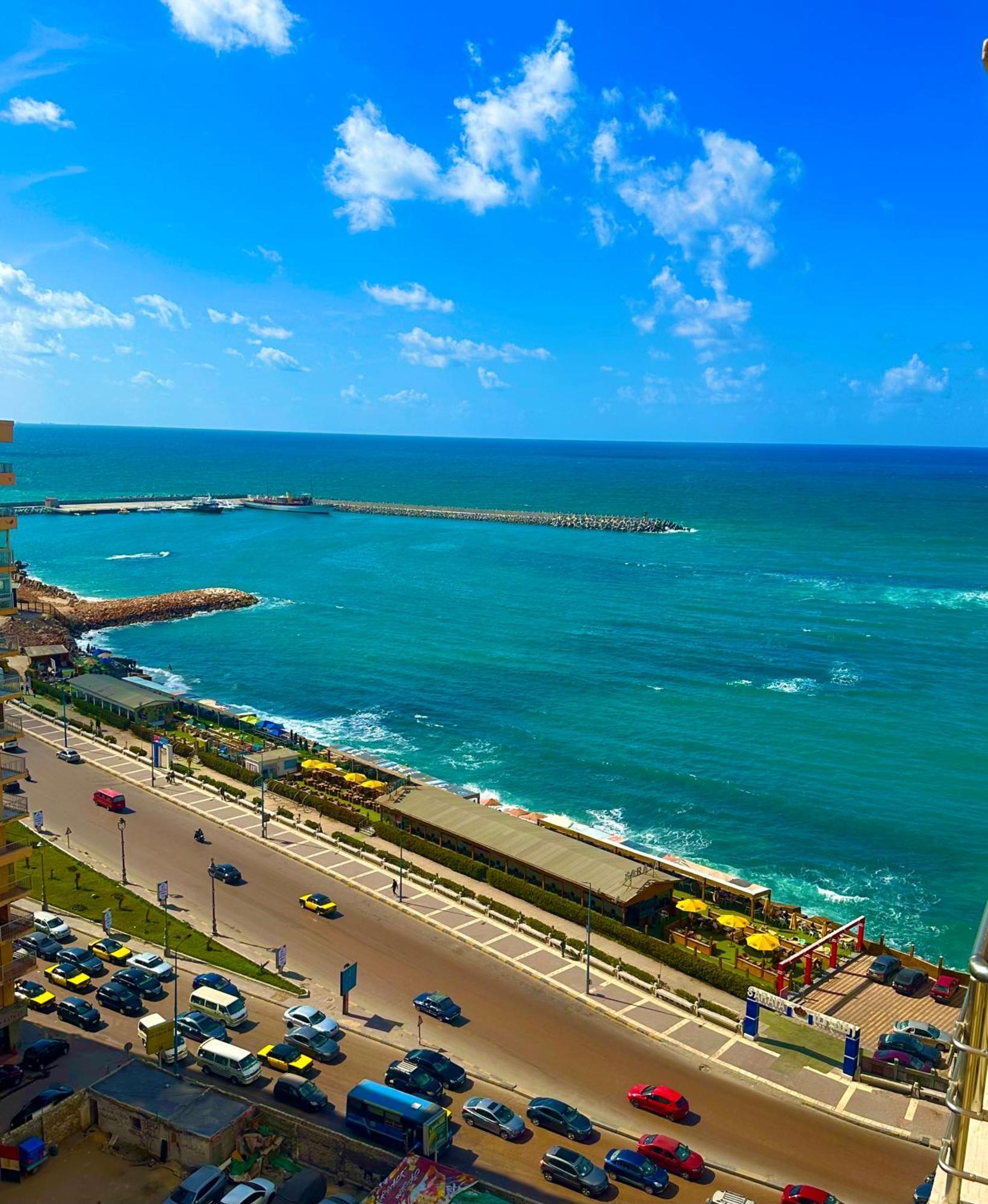 Clara * Alexandria