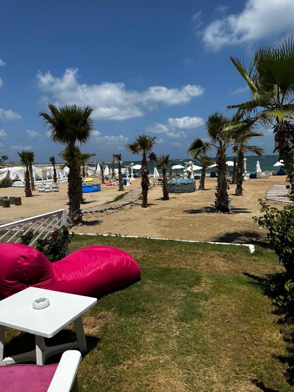 Paradise Resort Alexandria