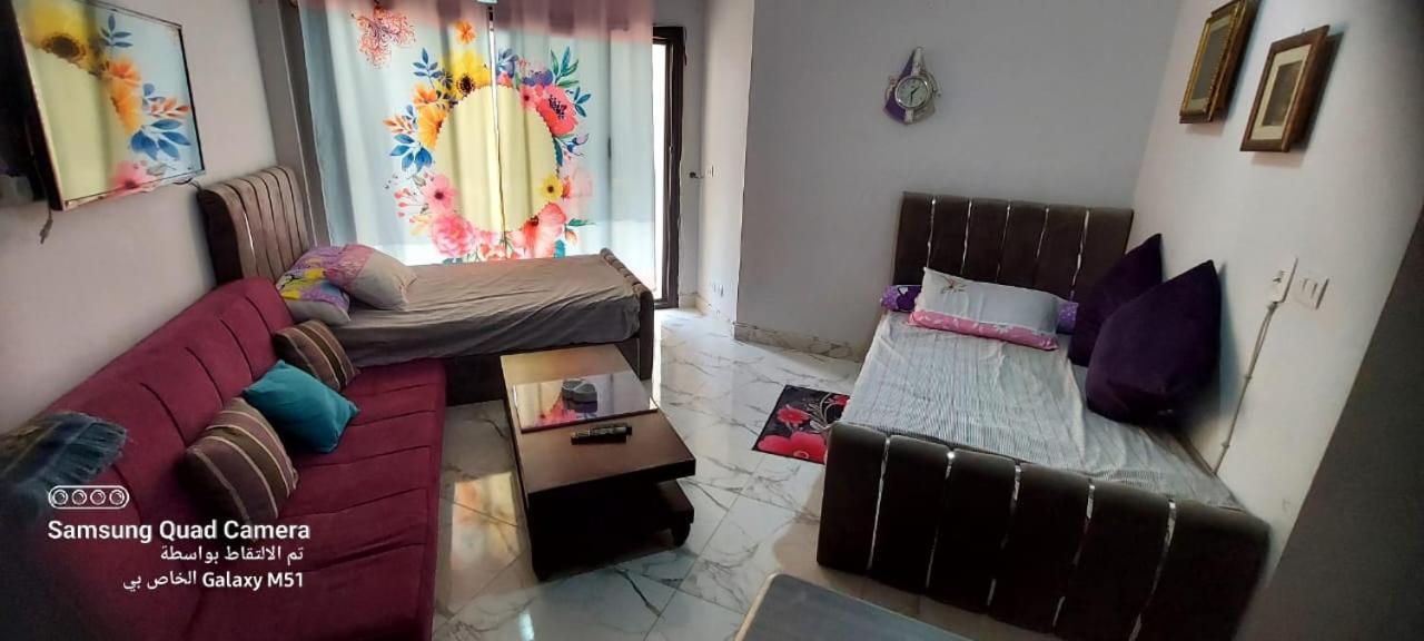 Apartment فندقي أرضي بحديقه خاصه في بورتوسعيد